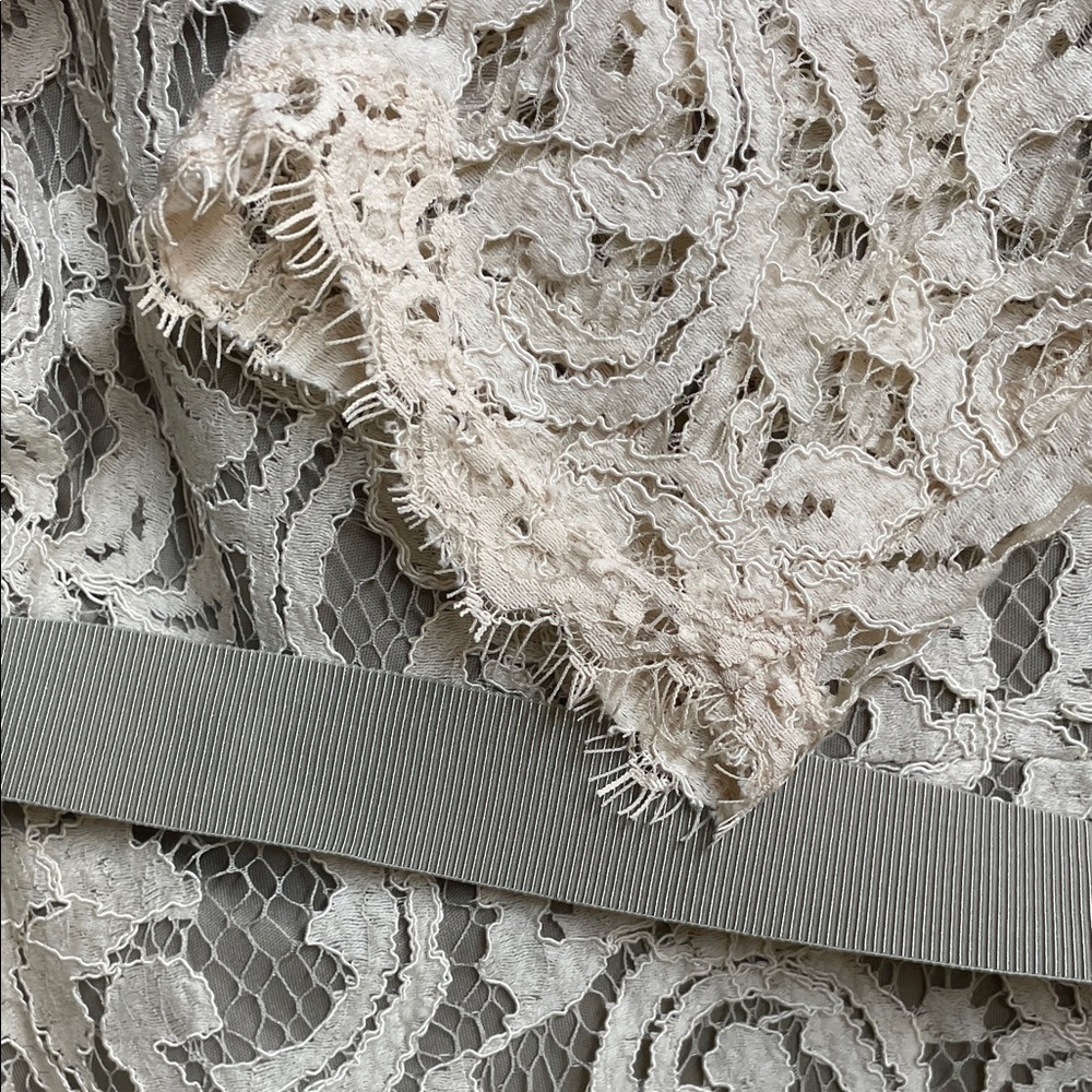 Tadashi Shoji Lace 3/4 Sleeve Dress in Cream and Tan with Belt - Picture 5 of 9